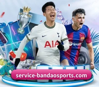 我们在做什么（bandao）