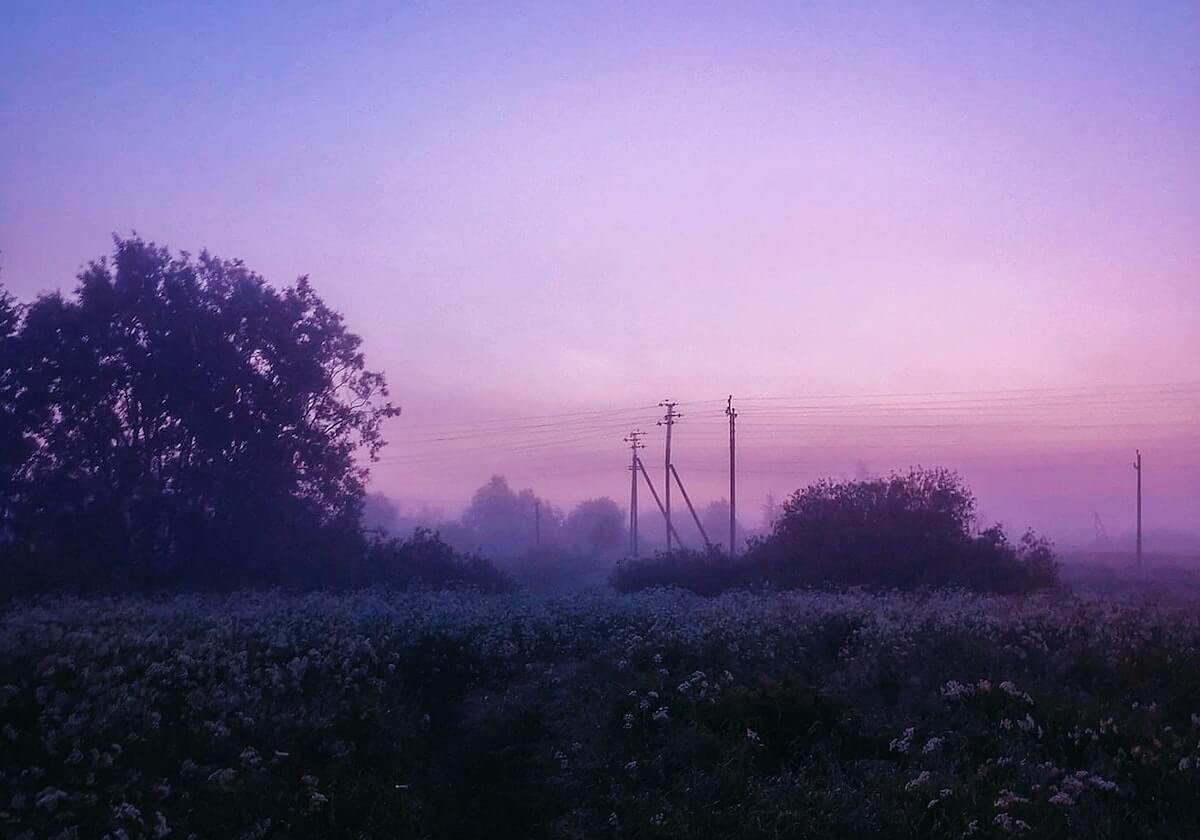 半岛体育官网-今天体验的人生副本是，侍寝男宠的一生。